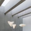 BALLET PLIE BY ARTURO ALVAREZ (3)